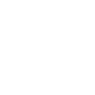 Watch mechanism of action video.